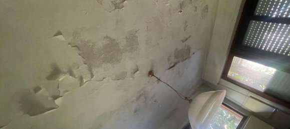 7 rooms Apartment in Carrara, Italy No. 47901 17