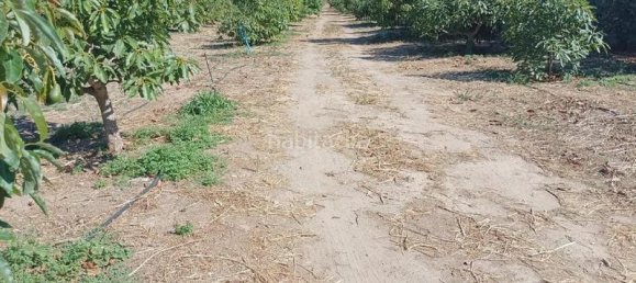 Terrain à Granada, Spain 31750m² No. 147308 5