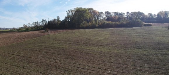  Land in Alkoven, Austria No. 25150 6