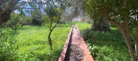 8غرفة فيلا في Carini, Italy رقم 81576 7