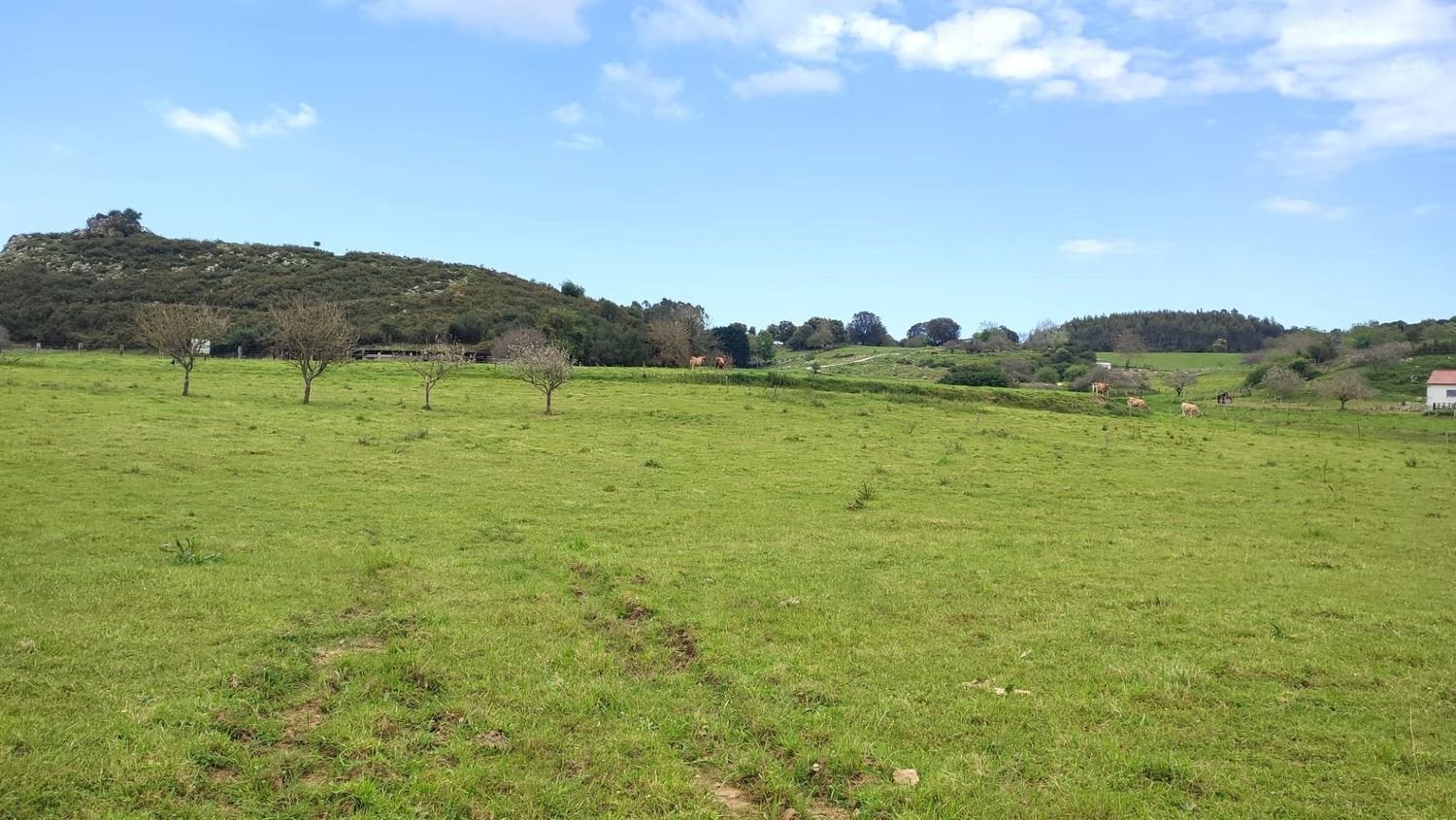 Terreno em Asturias, Spain N.º 164248