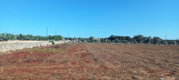 11000m² Land in Gagliano del Capo, Italy No. 255181 10