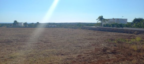 11000m² Land in Gagliano del Capo, Italy No. 255181 4