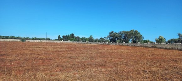 11000m² Land in Gagliano del Capo, Italy No. 255181 3