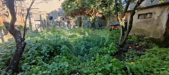 2 bedrooms House in Ansiao, Portugal No. 172633 10