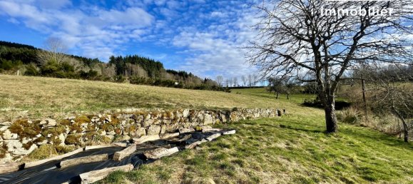 Дом с 3 спальнями в Амбер, Франция № 43343 16