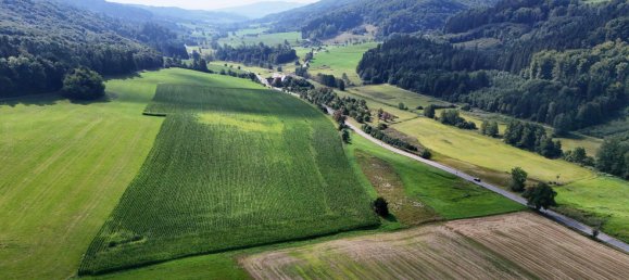 6-Zimmer Bauernhof in Bodenseekreis, Germany, Nr. 311652 5