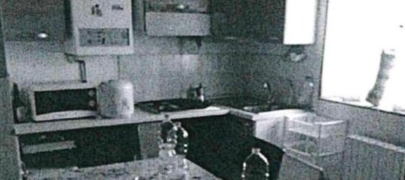 3غرفة منزل في Santa Cristina e Bissone, Italy رقم 119316 16