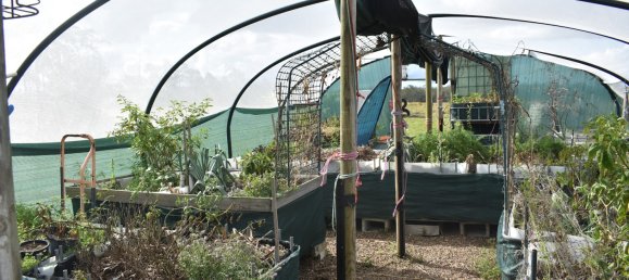 4 bedrooms House in Dunmora, Australia No. 289 28