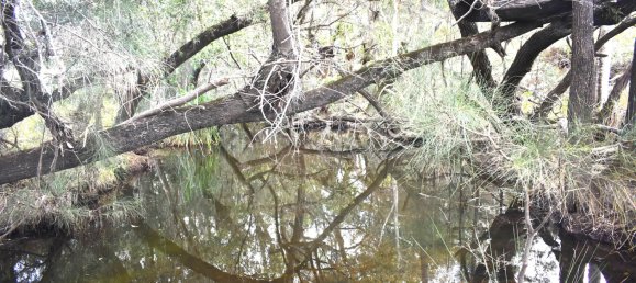 4 bedrooms House in Dunmora, Australia No. 289 10