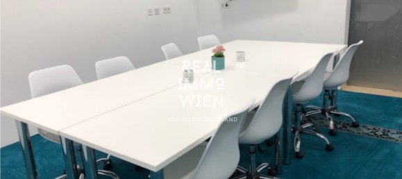 Gewerbliche Immobilie in Alsergrund, Austria 210m², Nr. 133228 3