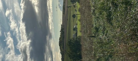 Terreno en Moncel-sur-Seille, France No. 75409 3