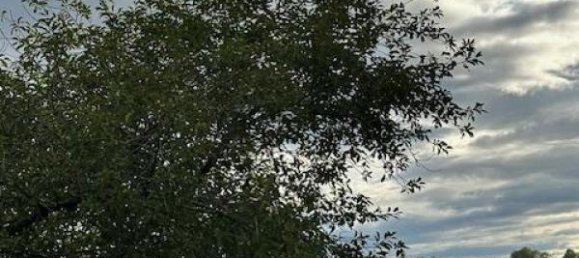 Terreno en Moncel-sur-Seille, France No. 75409 4