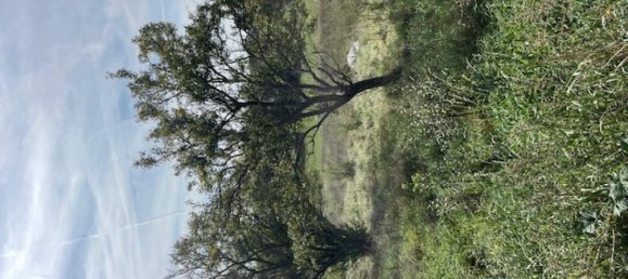 Terreno en Moncel-sur-Seille, France No. 75409 5