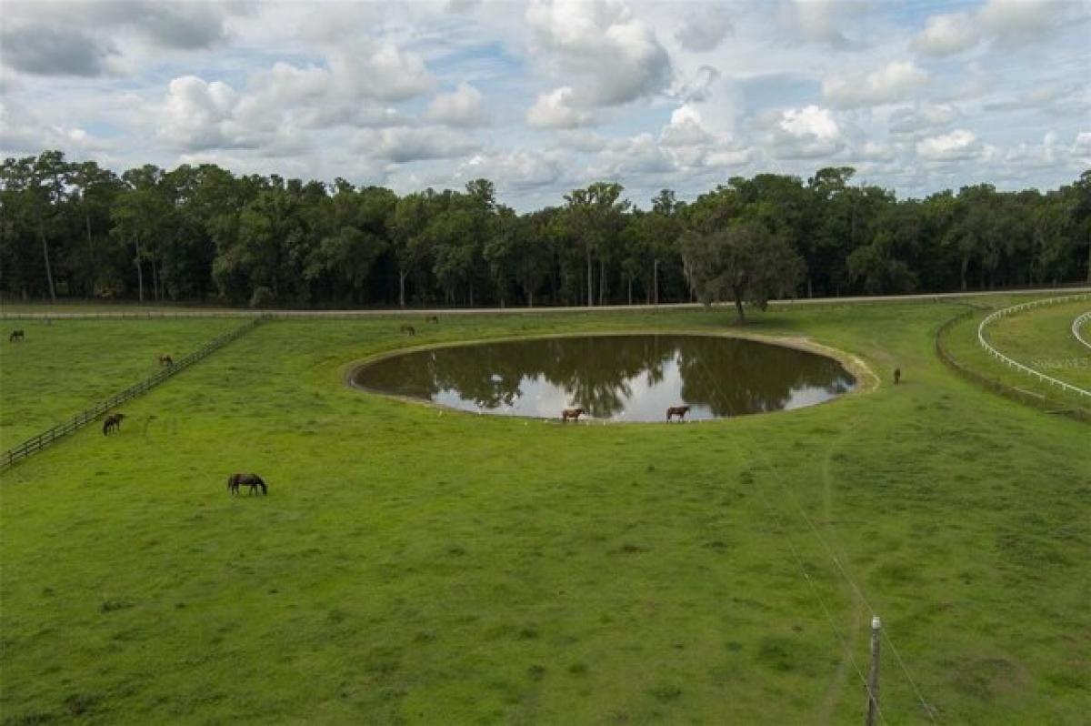  Land in Reddick, USA No. 513396