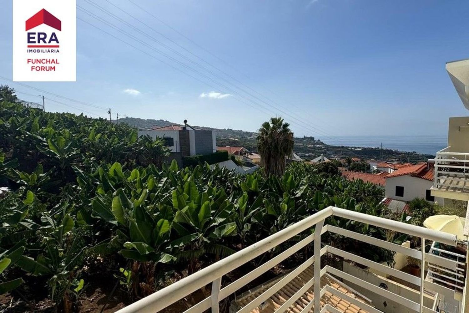 2 bedrooms Apartment in Camara de Lobos, Portugal No. 251727