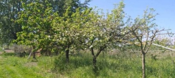 4500m² Land in Brusciano, Italy No. 339221 11