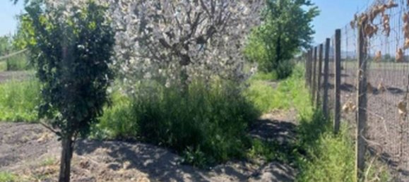 4500m² Land in Brusciano, Italy No. 339221 10