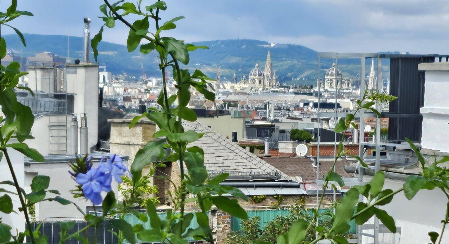 3 Schlafzimmer Doppelhaus in Wieden, Austria, Nr. 224013