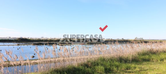 3 Schlafzimmer Wohnung in Aveiro, Portugal, Nr. 154602 8