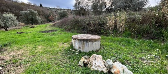 2-Zimmer Haus in Chianni, Italy, Nr. 89076 7