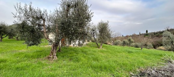 2-Zimmer Haus in Chianni, Italy, Nr. 89076 2