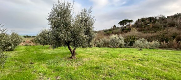 2-Zimmer Haus in Chianni, Italy, Nr. 89076 19