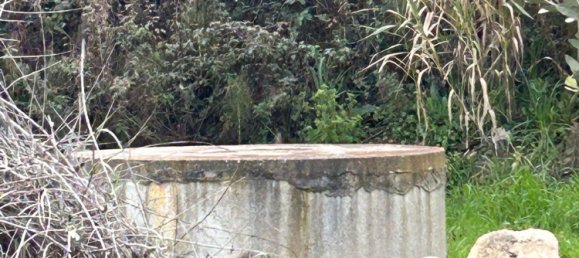 2-Zimmer Haus in Chianni, Italy, Nr. 89076 13