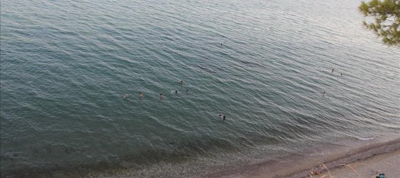 Hotel em Polygyros, Greece 3600 m² N.º 6843 2