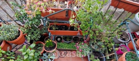 2 rooms Apartment in Sinalunga, Italy No. 374432 7