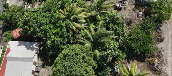 1 bedroom Duplex in Portsmouth, Dominica No. 13 20