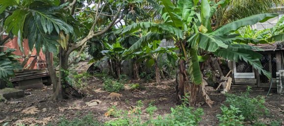 1 bedroom Duplex in Portsmouth, Dominica No. 13 13