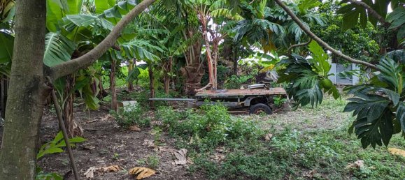 1 bedroom Duplex in Portsmouth, Dominica No. 13 11