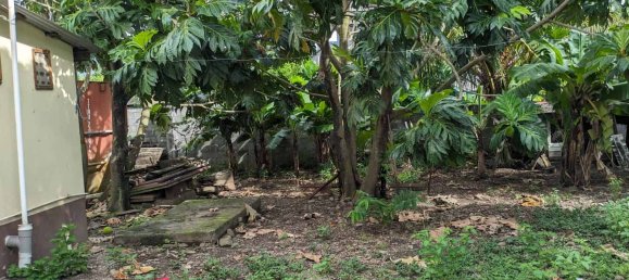 1 bedroom Duplex in Portsmouth, Dominica No. 13 14