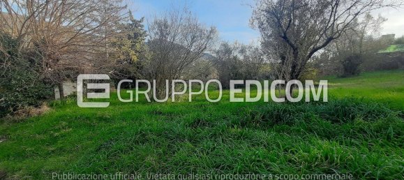 Land in Acquasparta, Italy No. 331660 2