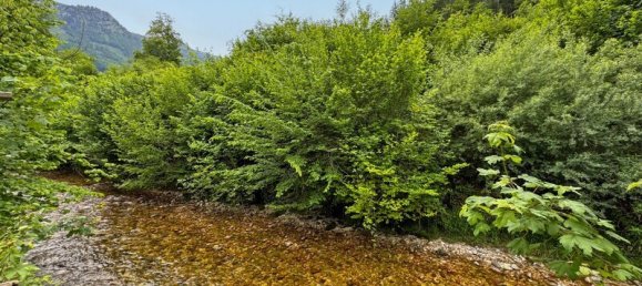 3غرفة شقة في Grodig, Austria رقم 252618 7