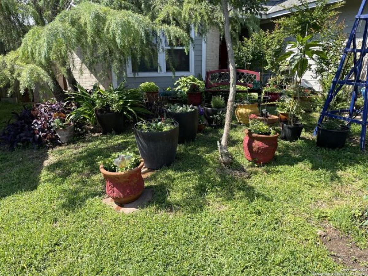 3 bedrooms House in San Antonio, USA No. 410744