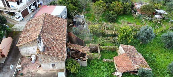 3 Schlafzimmer Haus in Ferreira do Zezere, Portugal, Nr. 25559 16