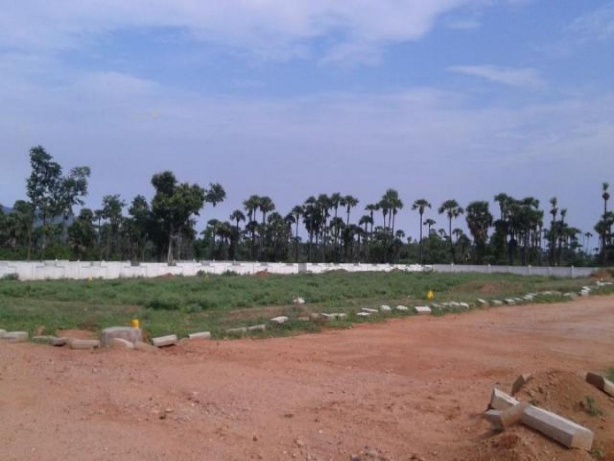  Land in Visakhapatnam, India No. 31478