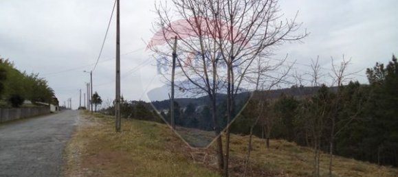 4880m² Land in Mangualde, Portugal No. 52752 12