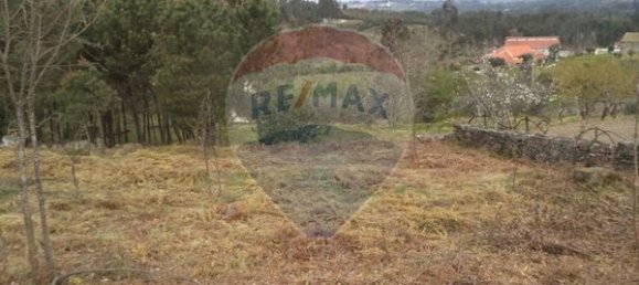 4880m² Land in Mangualde, Portugal No. 52752 5