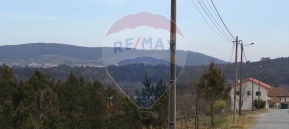 4880m² Land in Mangualde, Portugal No. 52752 10