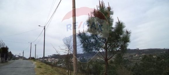 4880m² Land in Mangualde, Portugal No. 52752 13