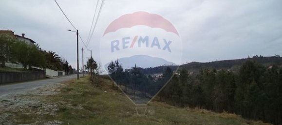 4880m² Land in Mangualde, Portugal No. 52752 9