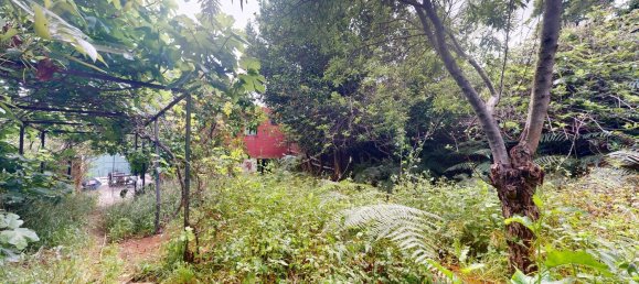 3 غرف نوم منزل في Tenerife, Spain رقم 152022 40