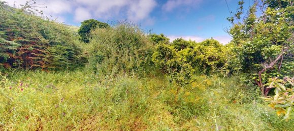 3 غرف نوم منزل في Tenerife, Spain رقم 152022 44