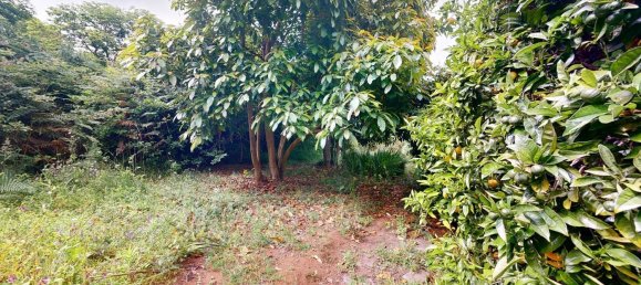 3 غرف نوم منزل في Tenerife, Spain رقم 152022 43