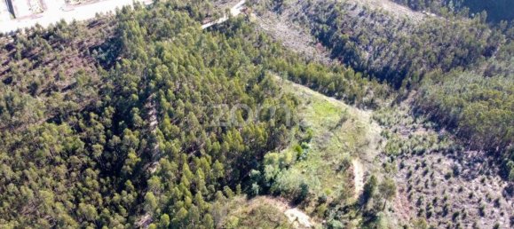 Terrain à Coimbra, Portugal 7550m² No. 61268 11