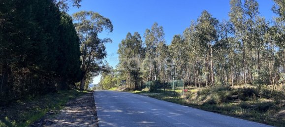 Terrain à Coimbra, Portugal 7550m² No. 61268 10