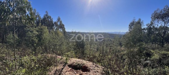 Terrain à Coimbra, Portugal 7550m² No. 61268 7